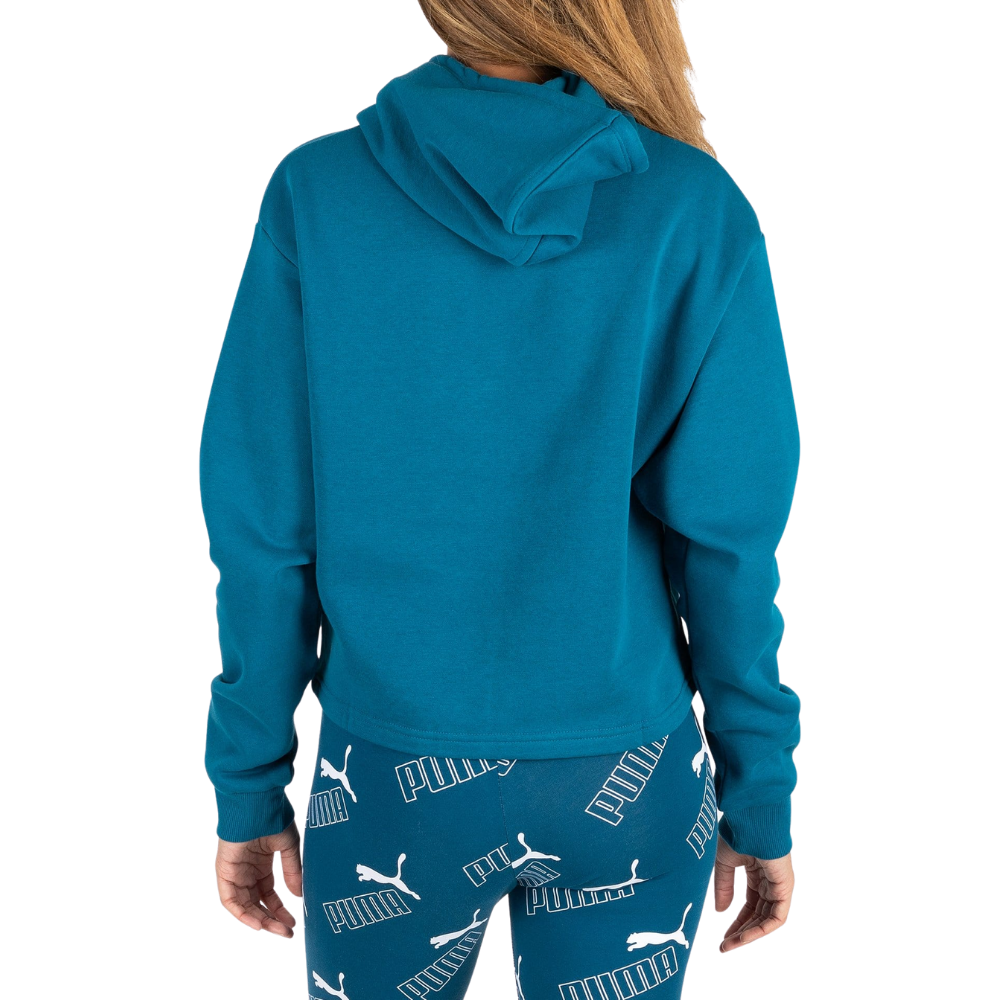 Digi blue puma hoodie hotsell